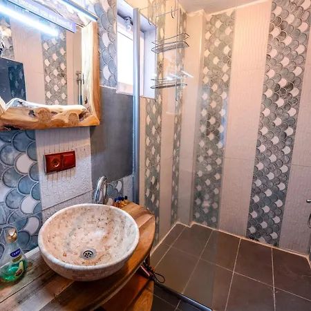Hotel Alpha Stone House 4*