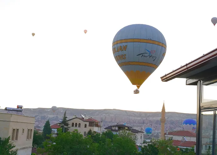 호텔 Alpha Stone House *